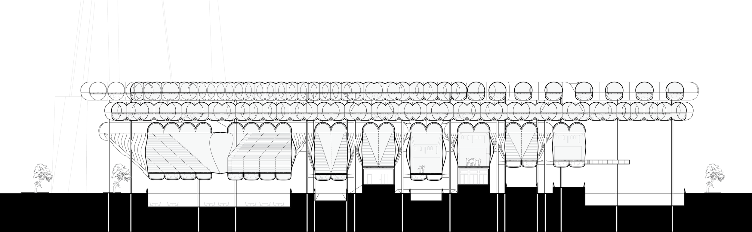 Long Section.png