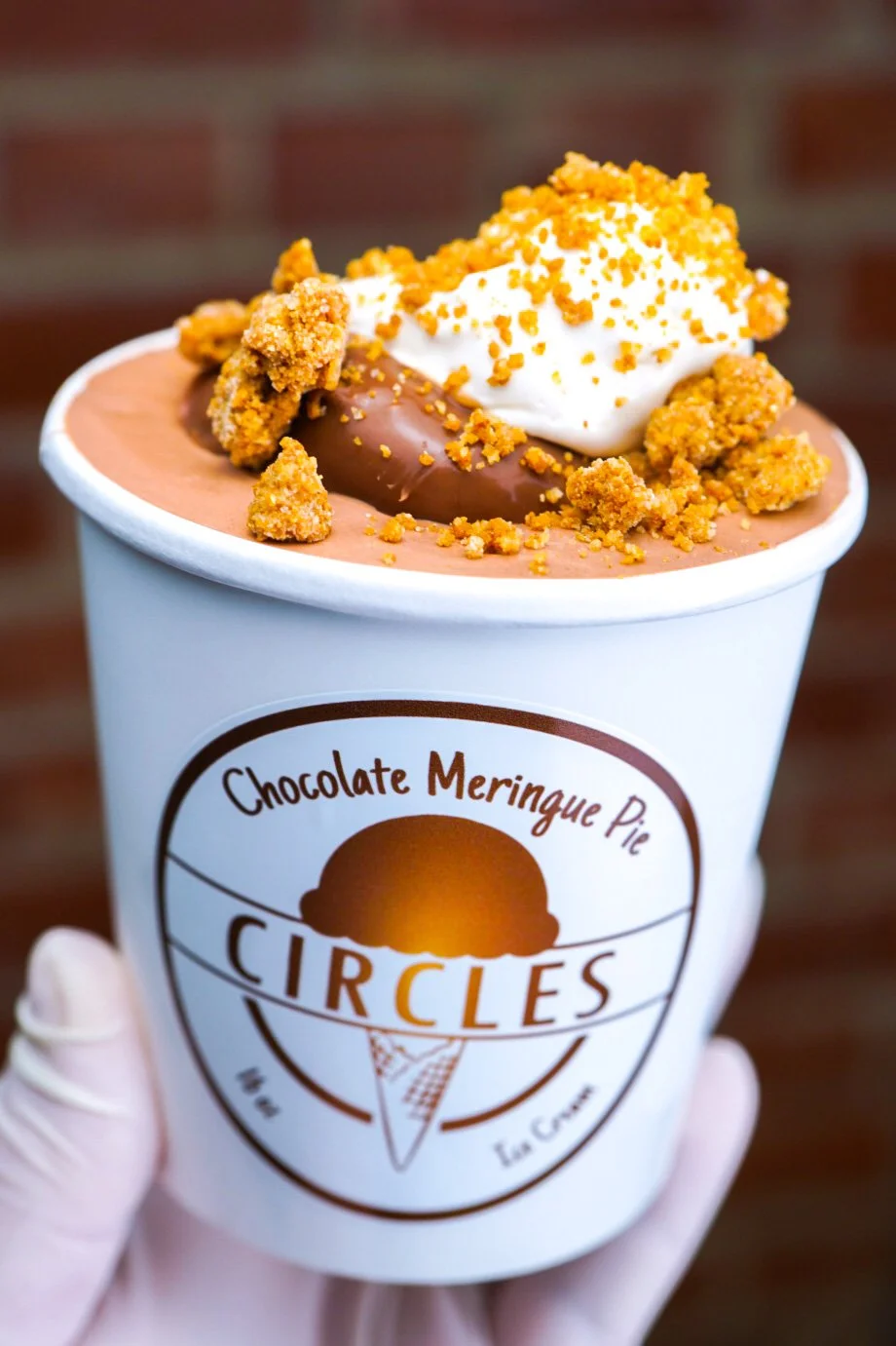 Chocolate Meringue Pie Pint 1.JPG