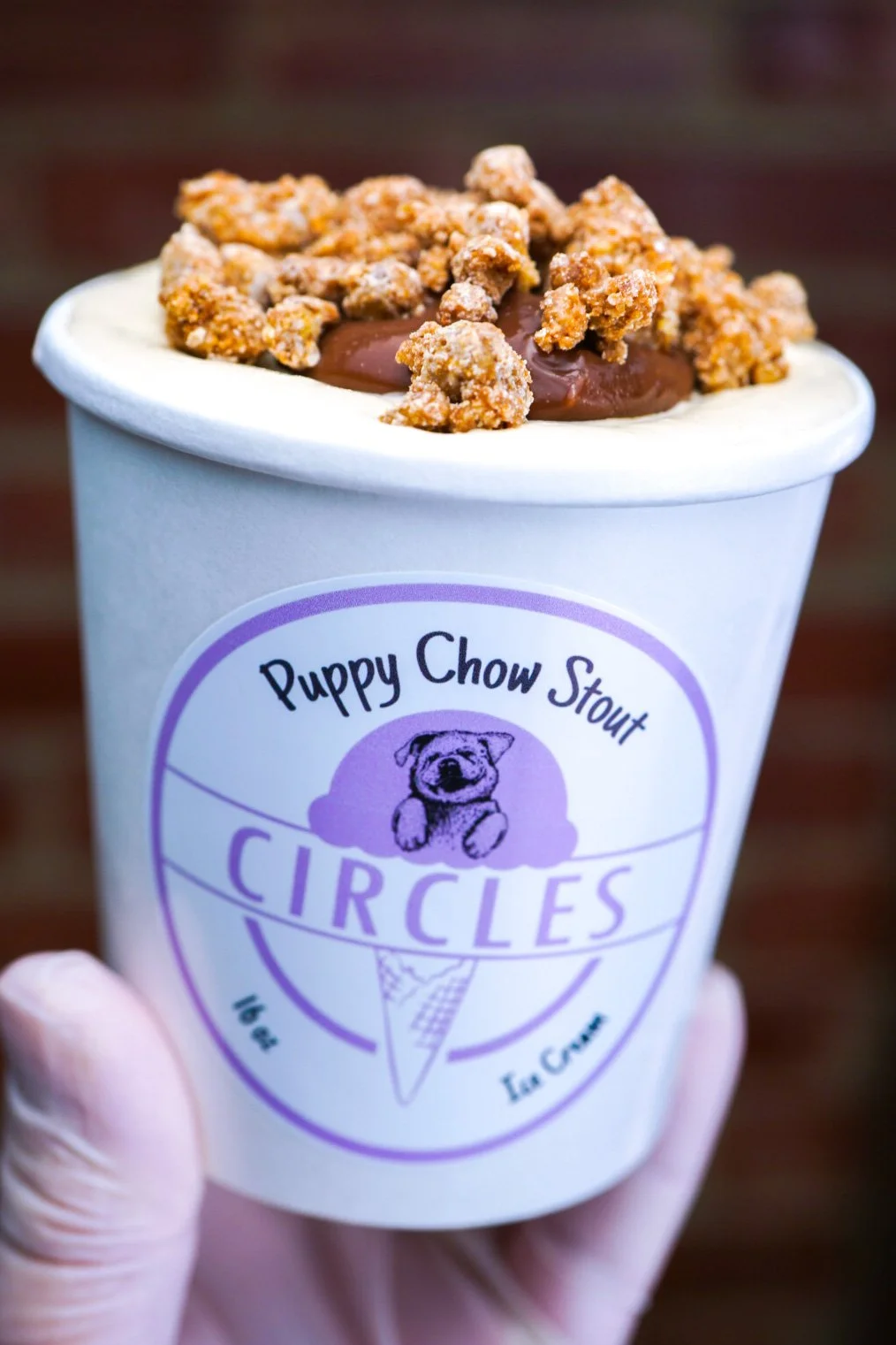 Puppy Chow Stout pint 1.JPG