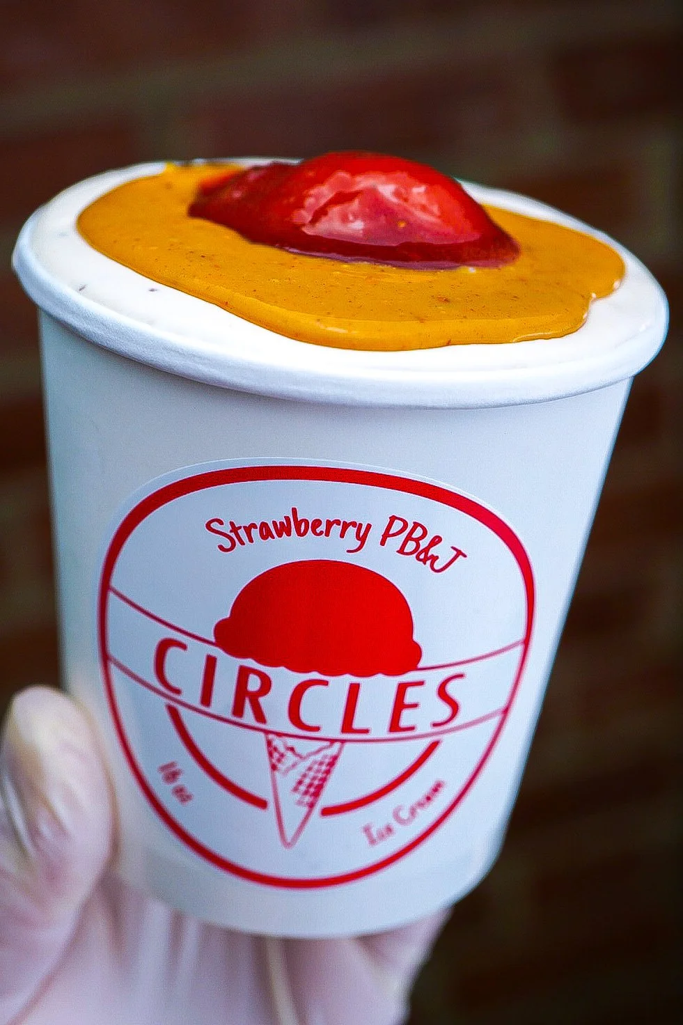 Strawberry PB&J — Circles Ice Cream