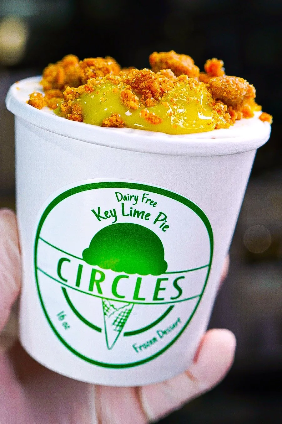 Key Lime Pie Dairy Free 2026.JPG