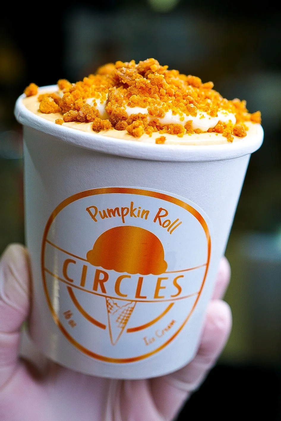 Pumpkin Roll Pint 2025.JPG