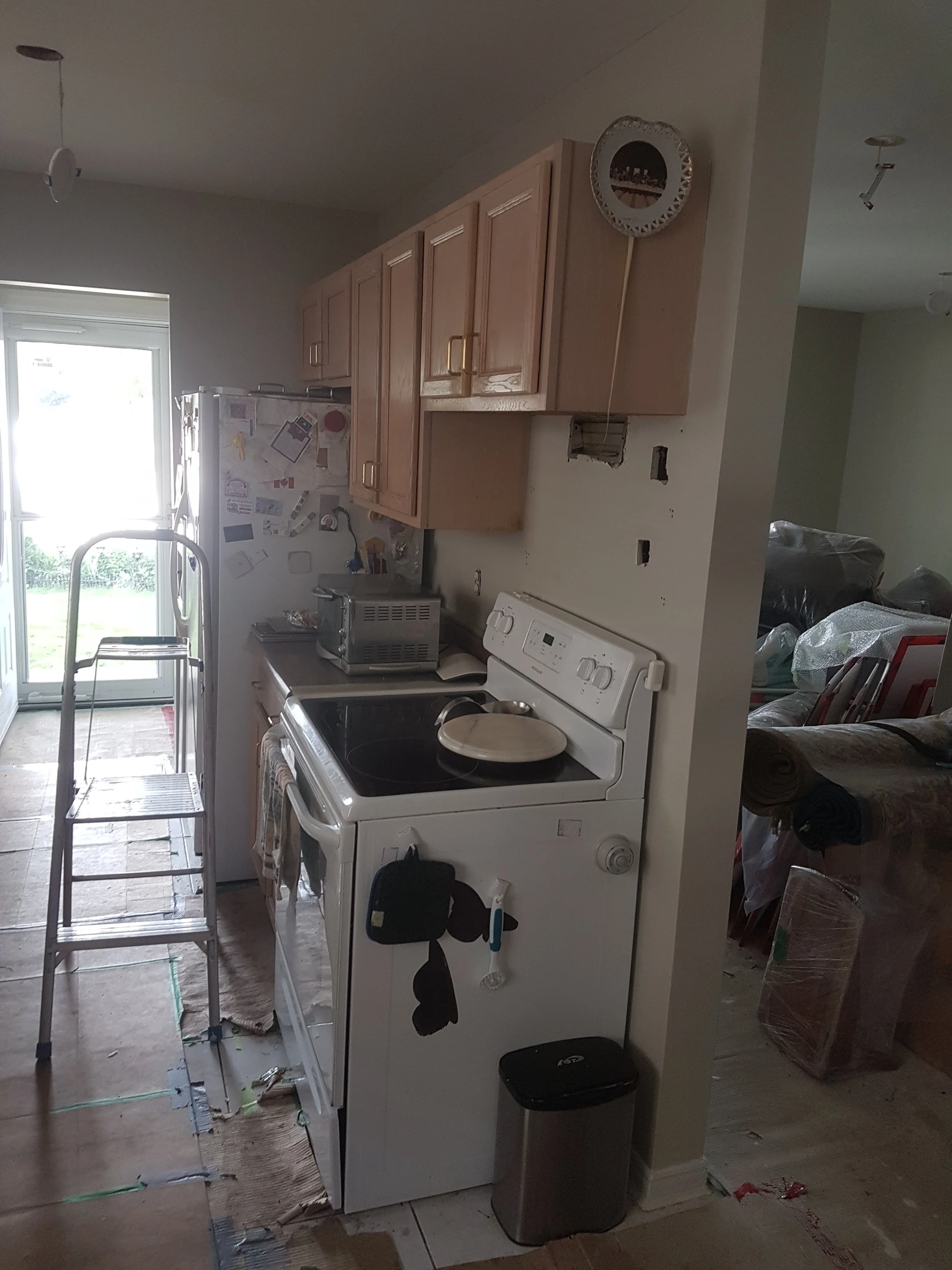 20180728_123651.jpg
