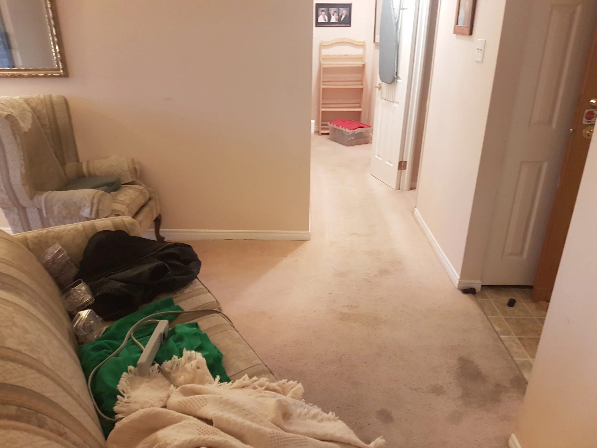 20181124_094720.jpg