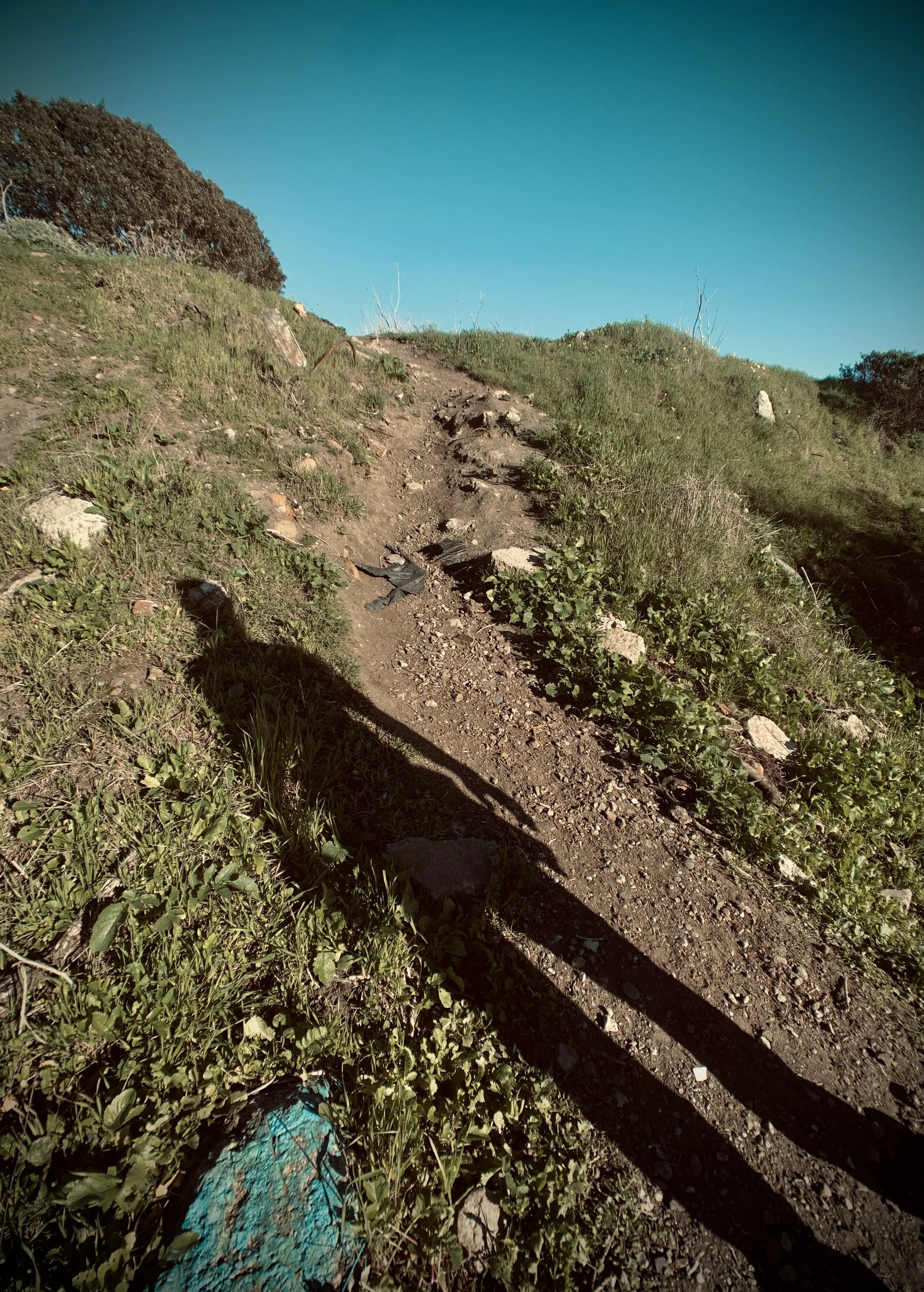 Prior to living at the Ashby Shellound Interchange, Bobby lived at the Albany Bulb in a four story hand built structure known as “The Mansion”. This photo is taken at the site where The Mansion stood before it was torn down by city officials.