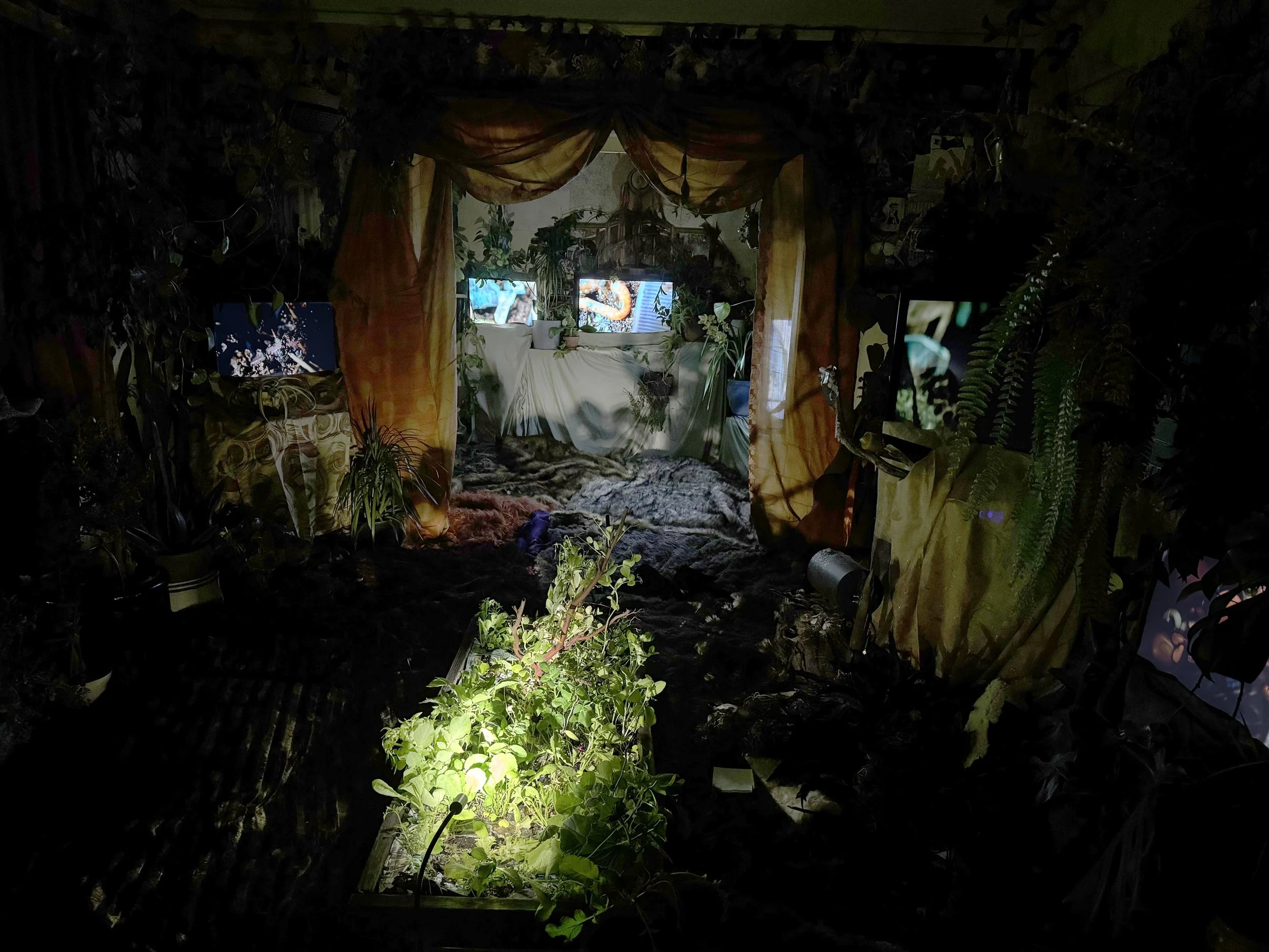 Bug City Installation View.jpg