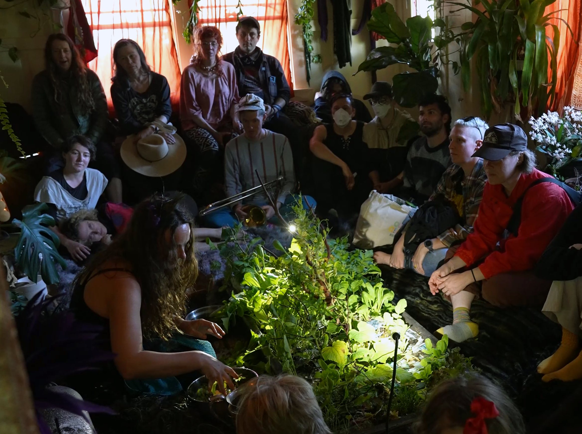 Bug City Performance 1.png