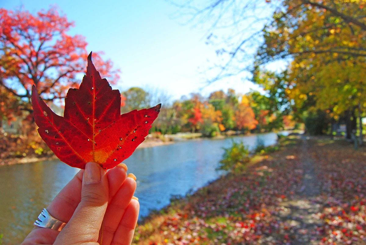 Fall Autumn Weekend Poconos.jpg