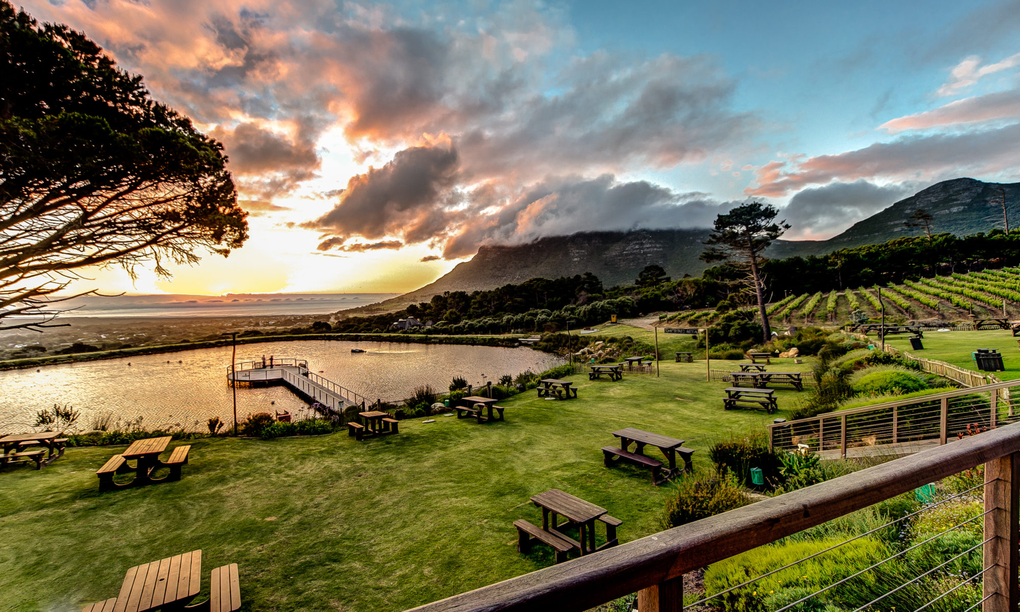 South Africa Cape Town Winery.jpg