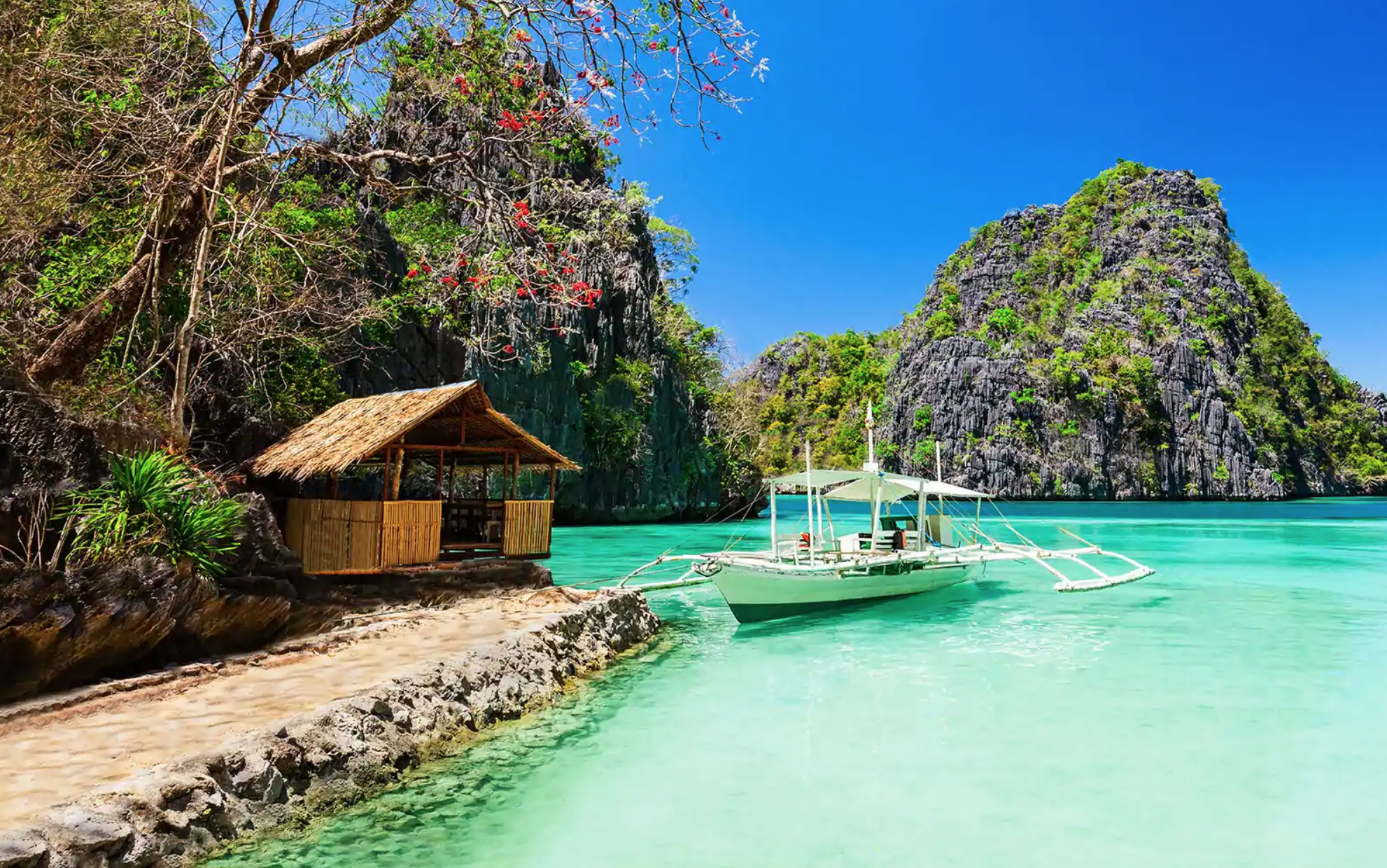 El Nido.png