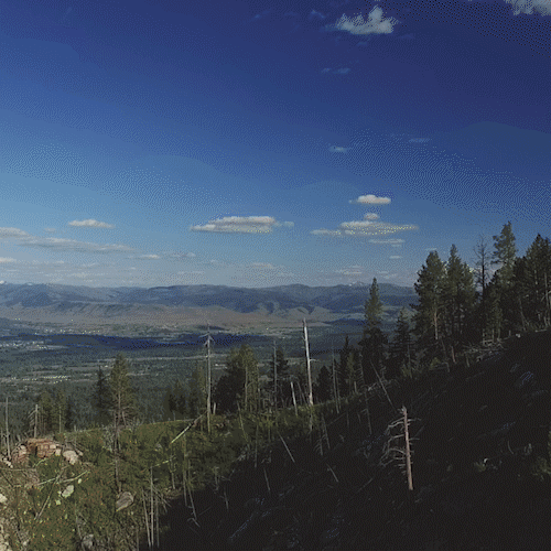 REEL2018_2020Edits_4.gif