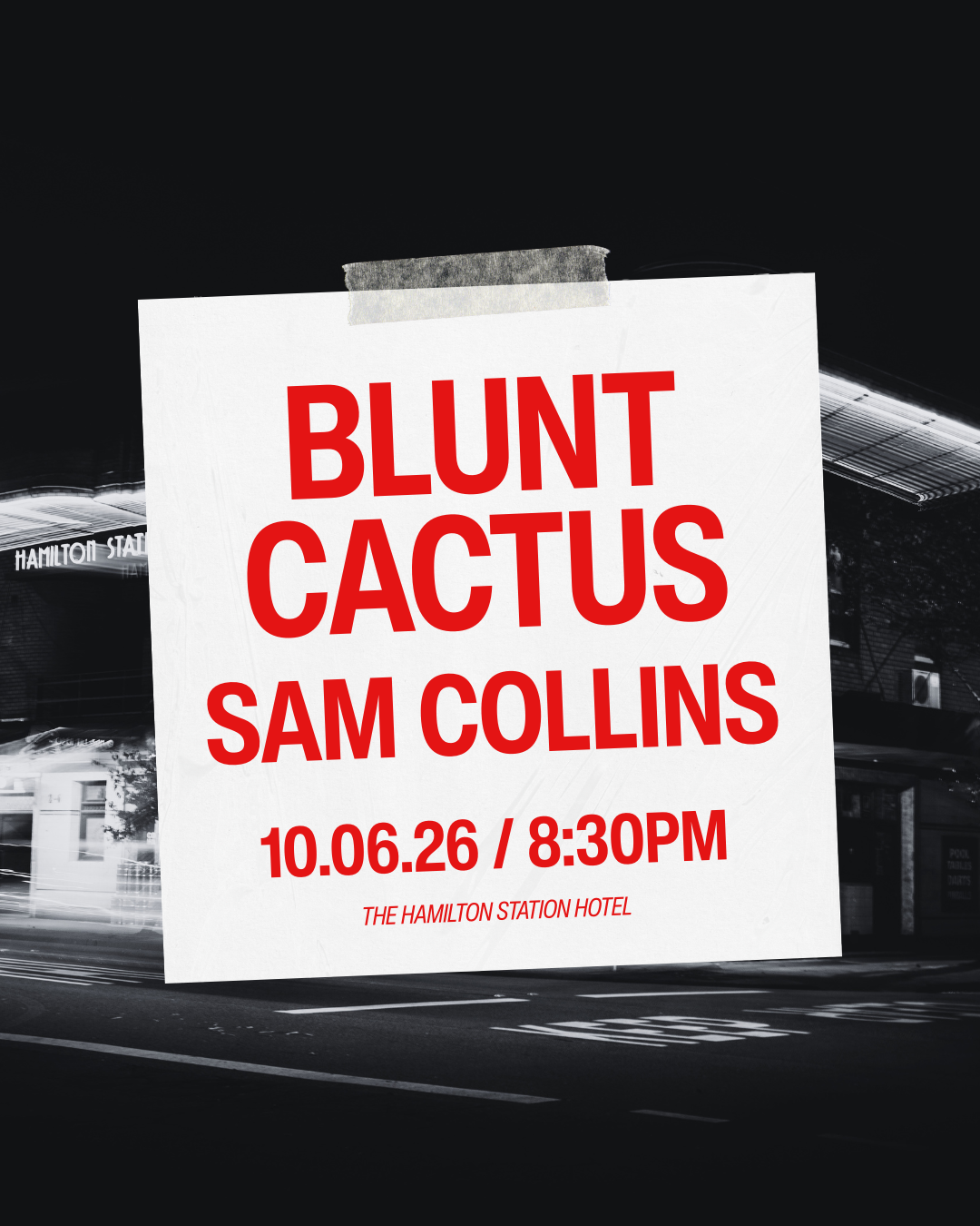 BLUNT CACTUS (1).png