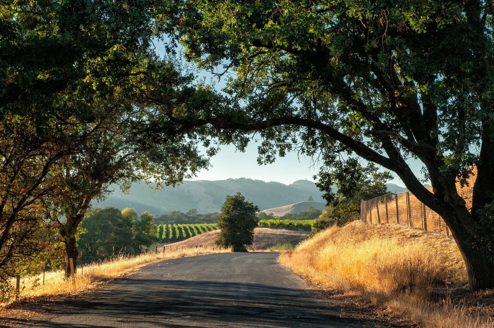 Wine-Country-commute.jpg