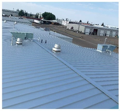 standing seam roof 3.JPG