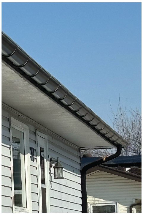 European Half round 1.JPG