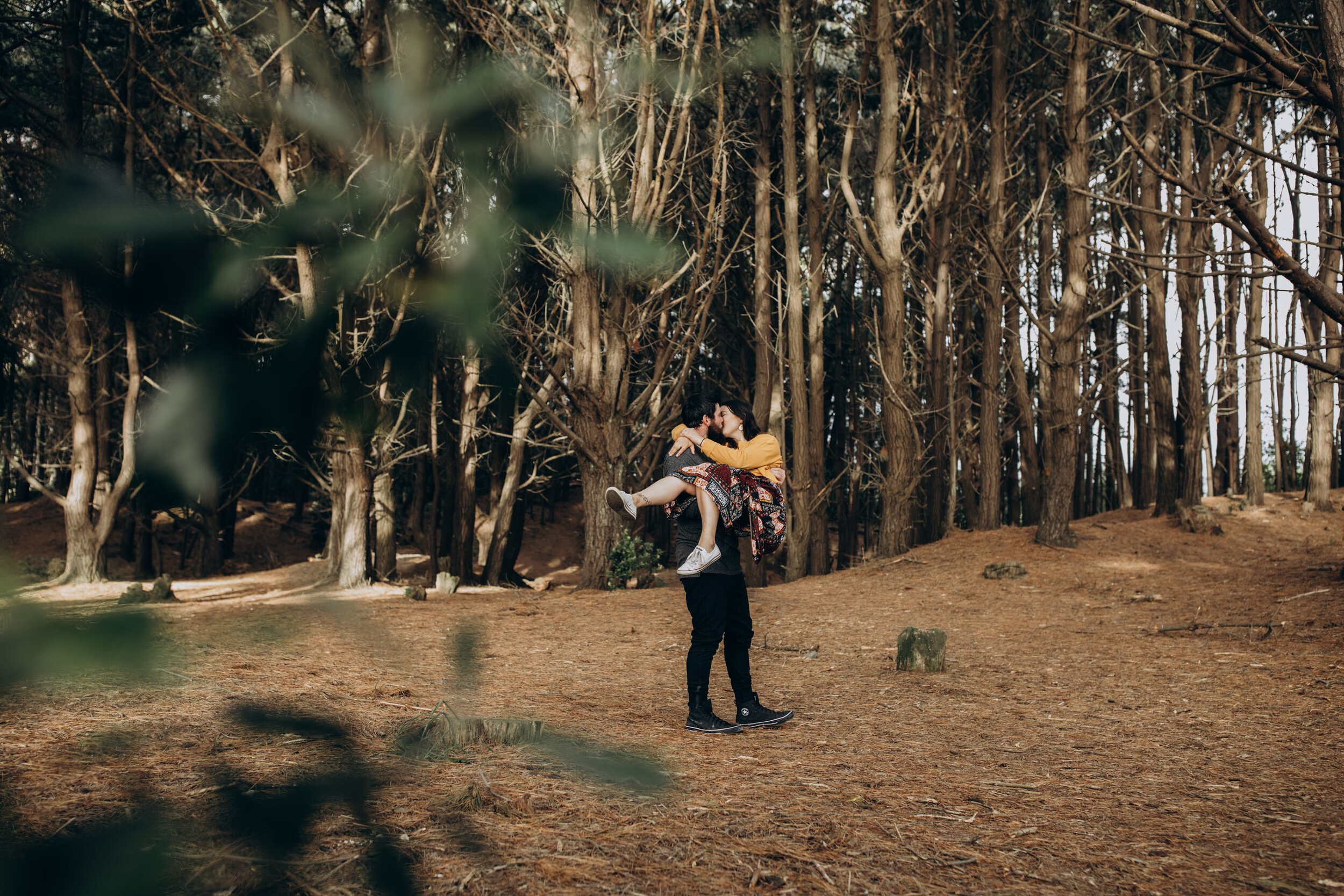 Engagement photos at Otaki pine tree forest
