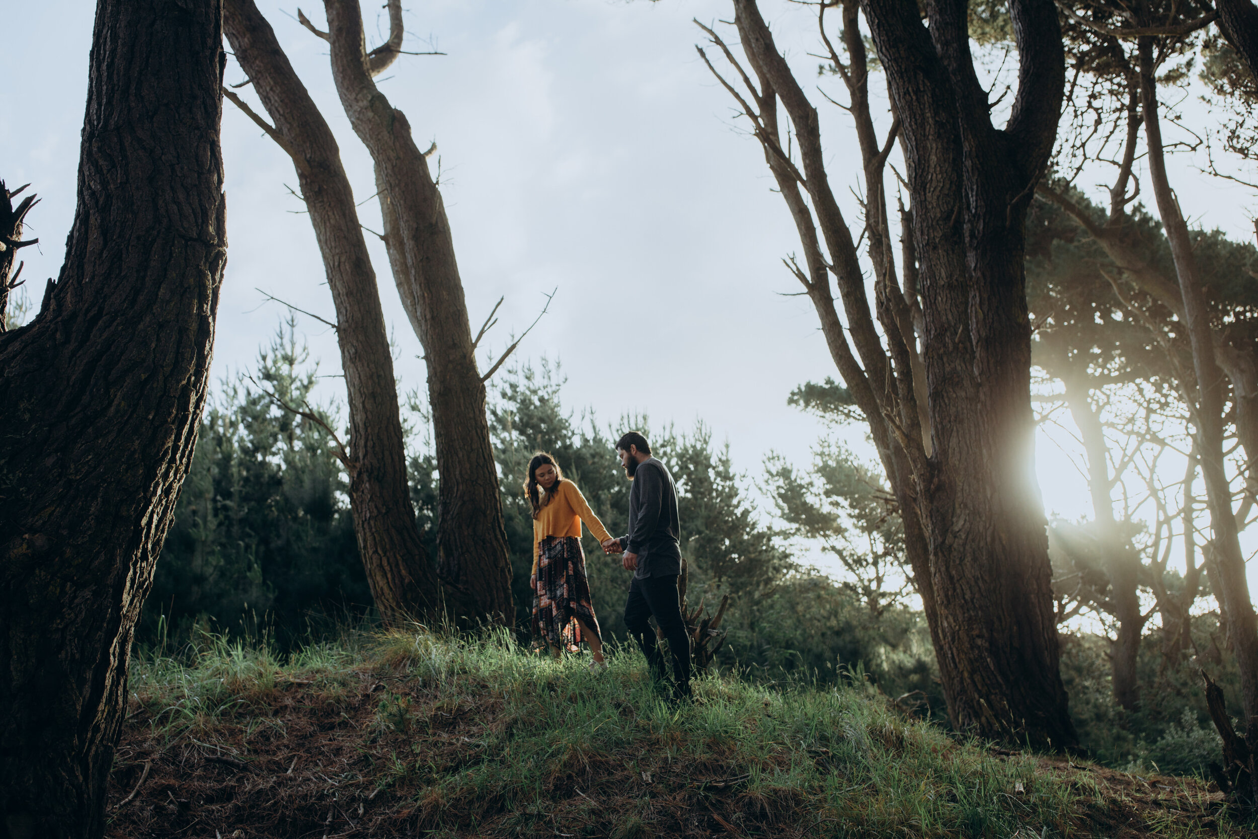 Engagement photos at Pine tree forest 