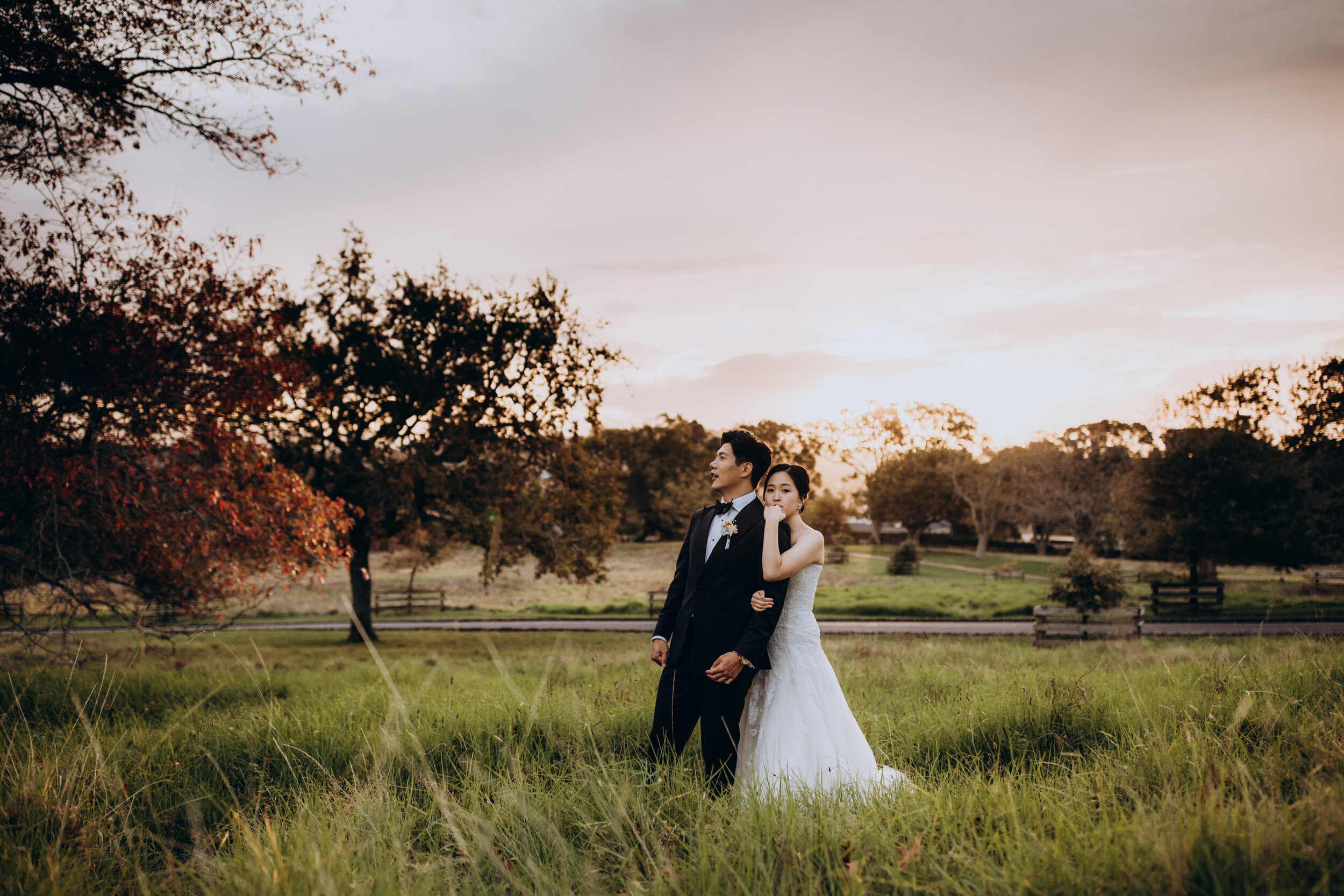 Sunset wedding photos | Auckland wedding | Sorrento in the park 