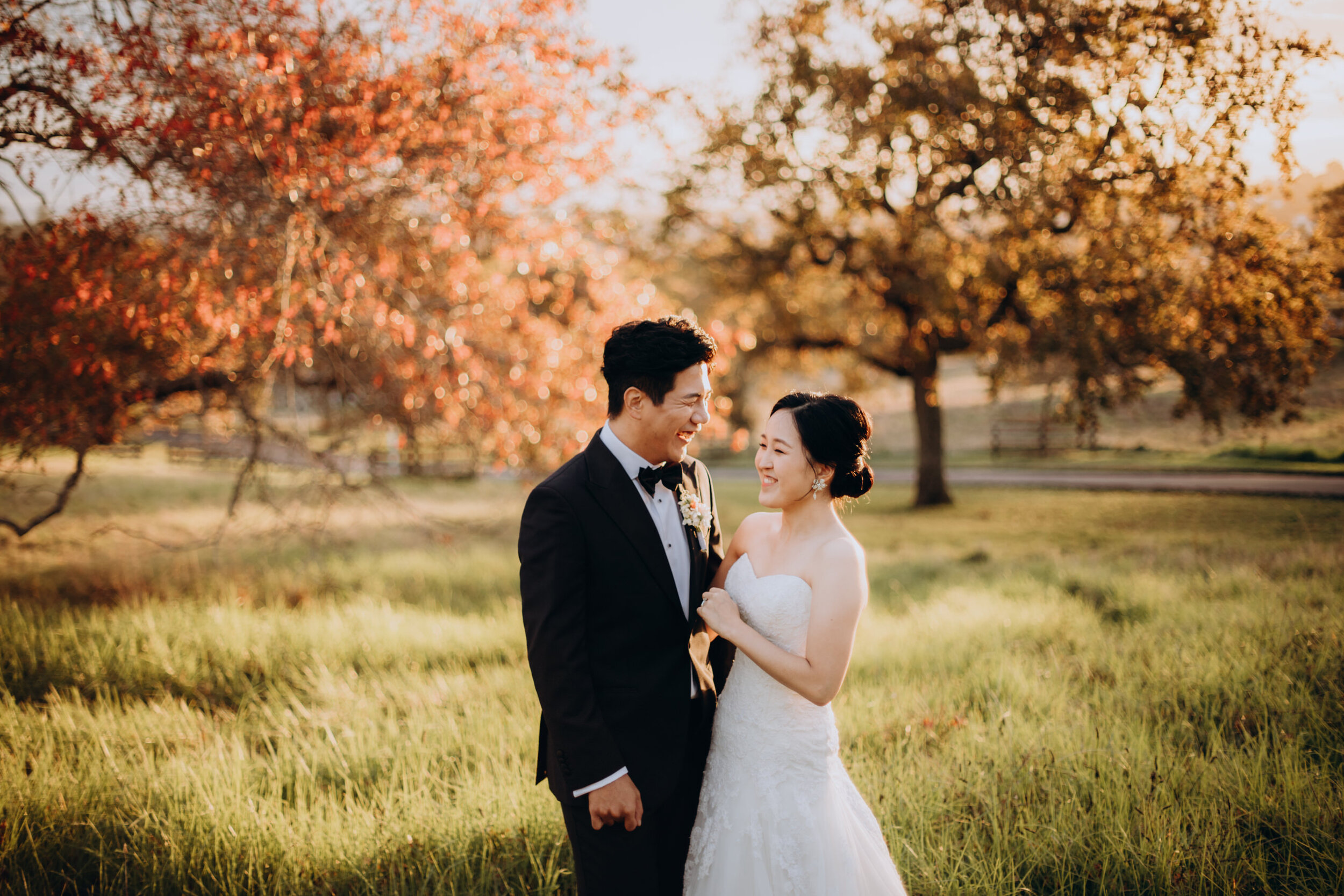 Korean wedding photographer | Christian wedding | Sorrento in the park 