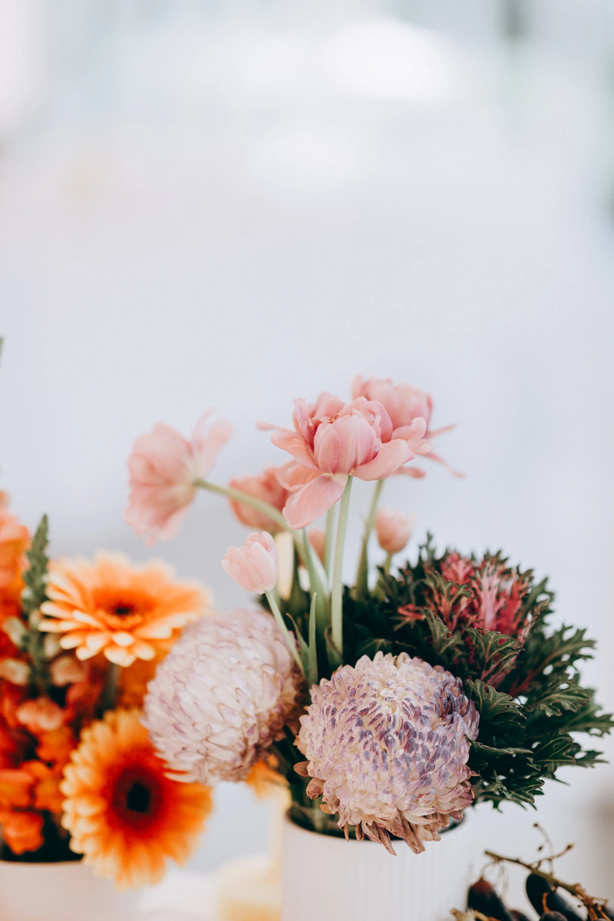 Puketutu Island Estate Auckland wedding venue 37.jpg