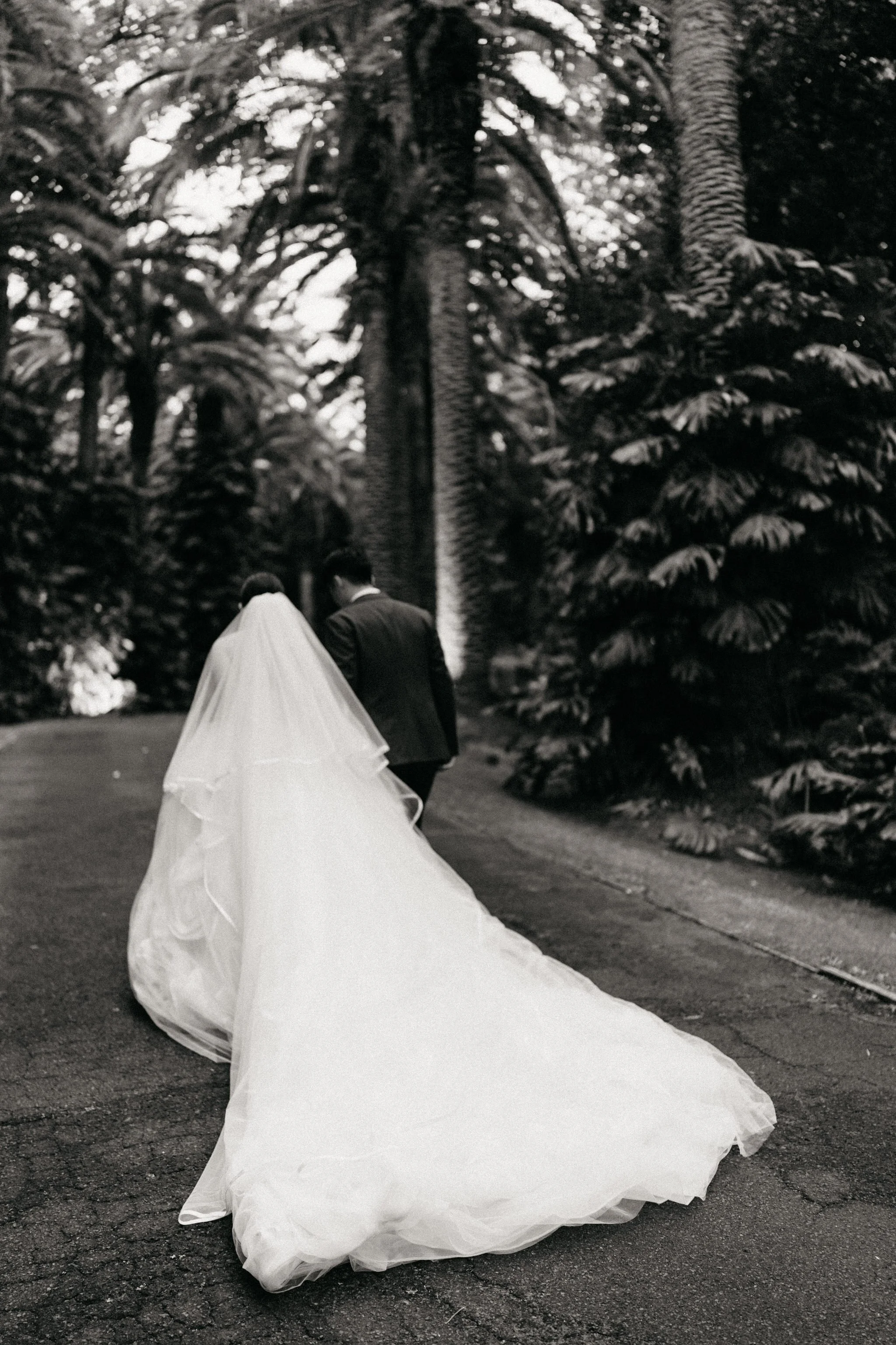 Puketutu Island Estate Auckland wedding venue 53.jpg