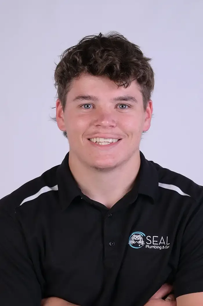 Louis Seal Plumbing