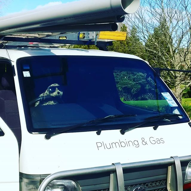 Plumbing or Gas emergency? Don't worry Mr Seal is on the road. Call Seal Plumbing 021797912

#plumber #plumbers #renovation #professional #repair #tradesman #maintenance #naturalgas #gasfitter #gasfitters #gasfitting #worldplumbers #auckland #aucklan