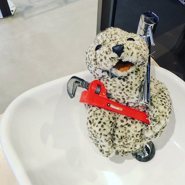 Need a new bathroom?
Need a Plumber?
Need advice?

Call Mr. Seal is an expert!