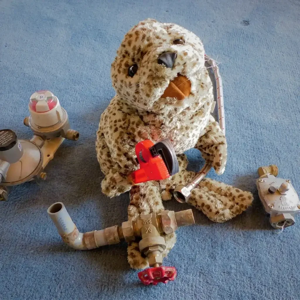 Mr. SealMr Seal is the newest member of the team. Sure he's a little wet behind the ears but he is a quick learner. Follow Mr Seal on Instagram. His interests, like Steve’s, are diving and fishing.