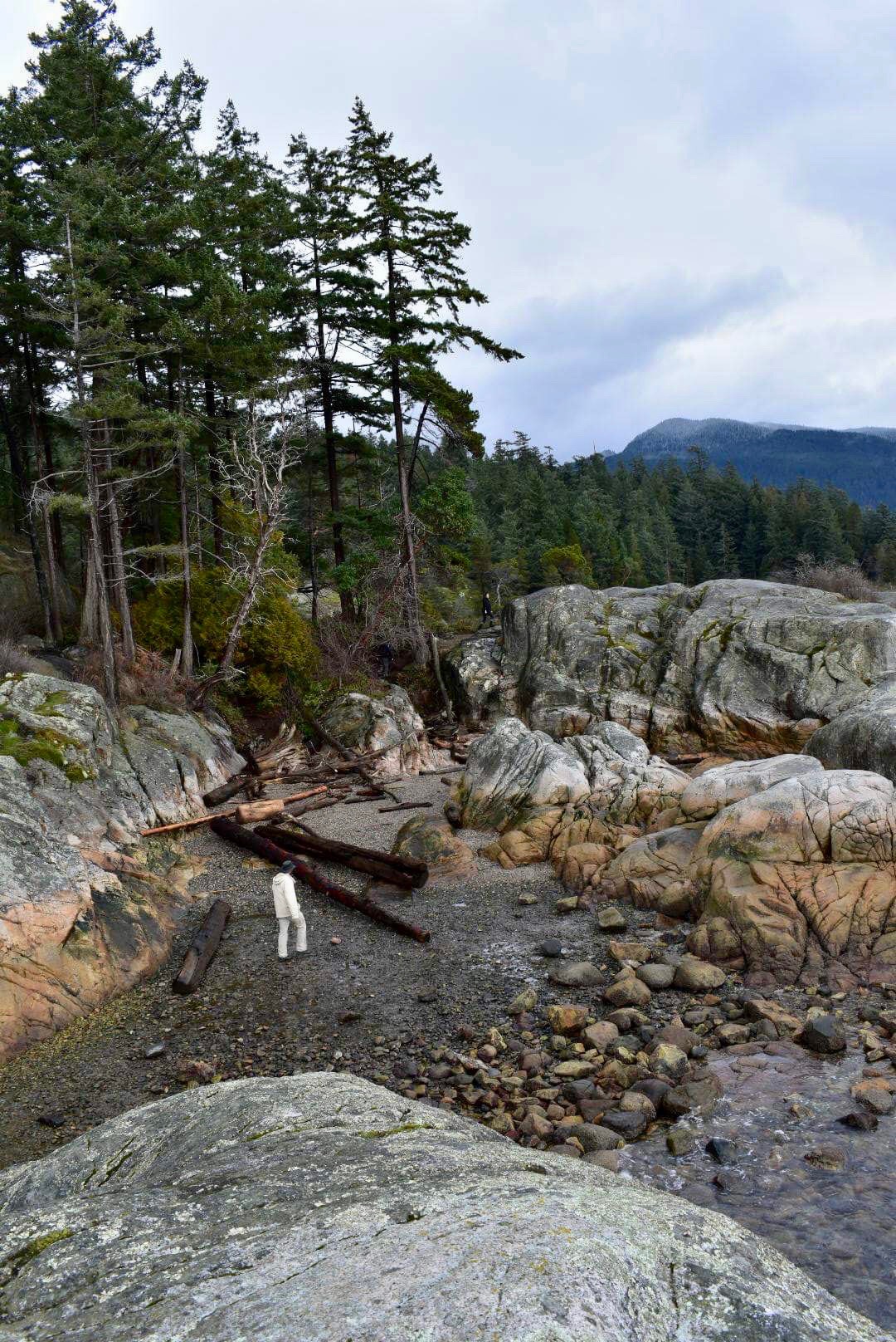 Lighthouse Park - Vancouver, BC