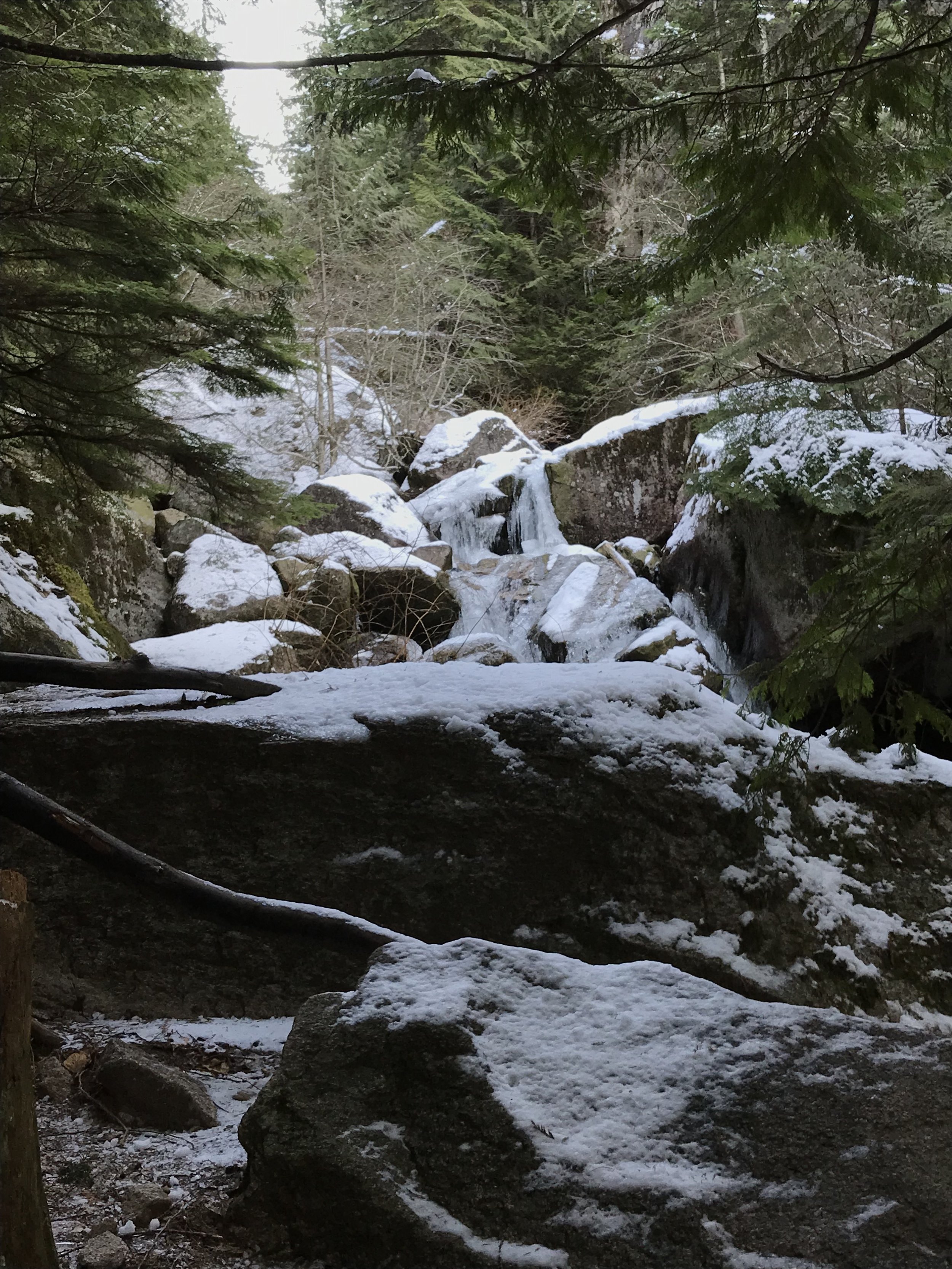 Hiking the Chief - Squamish, BC