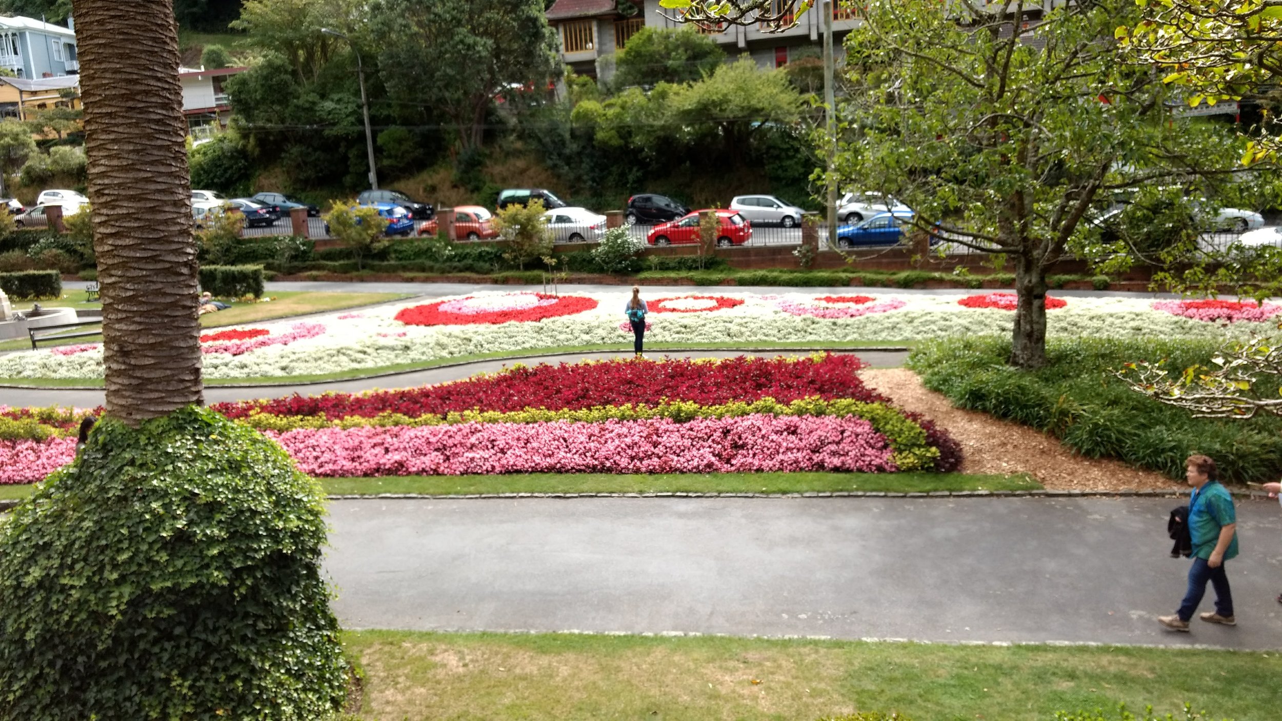 Wellington Botanic Garden