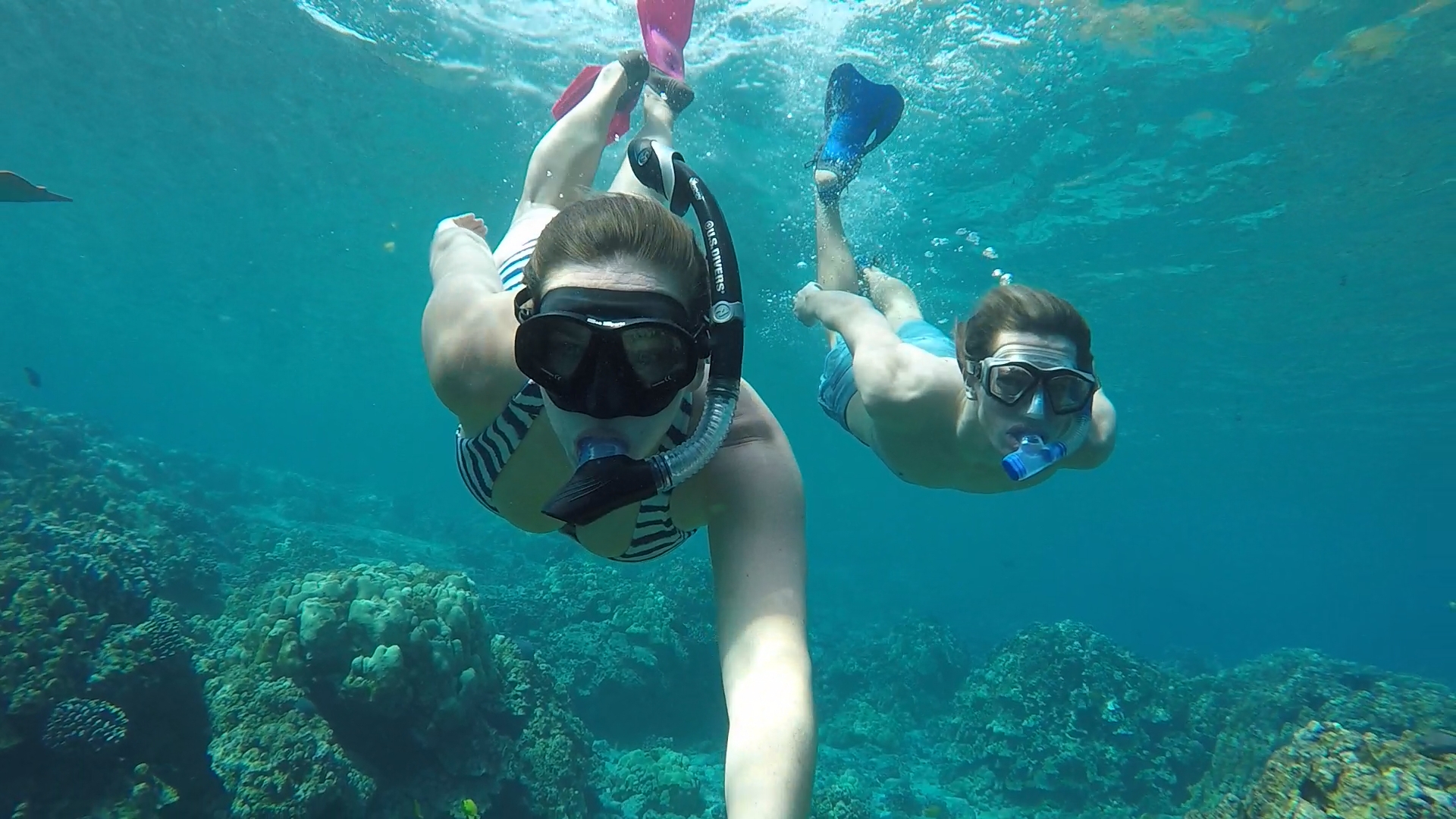 Snorkeling the Captain Cook Monument on the Big Island of Hawaii