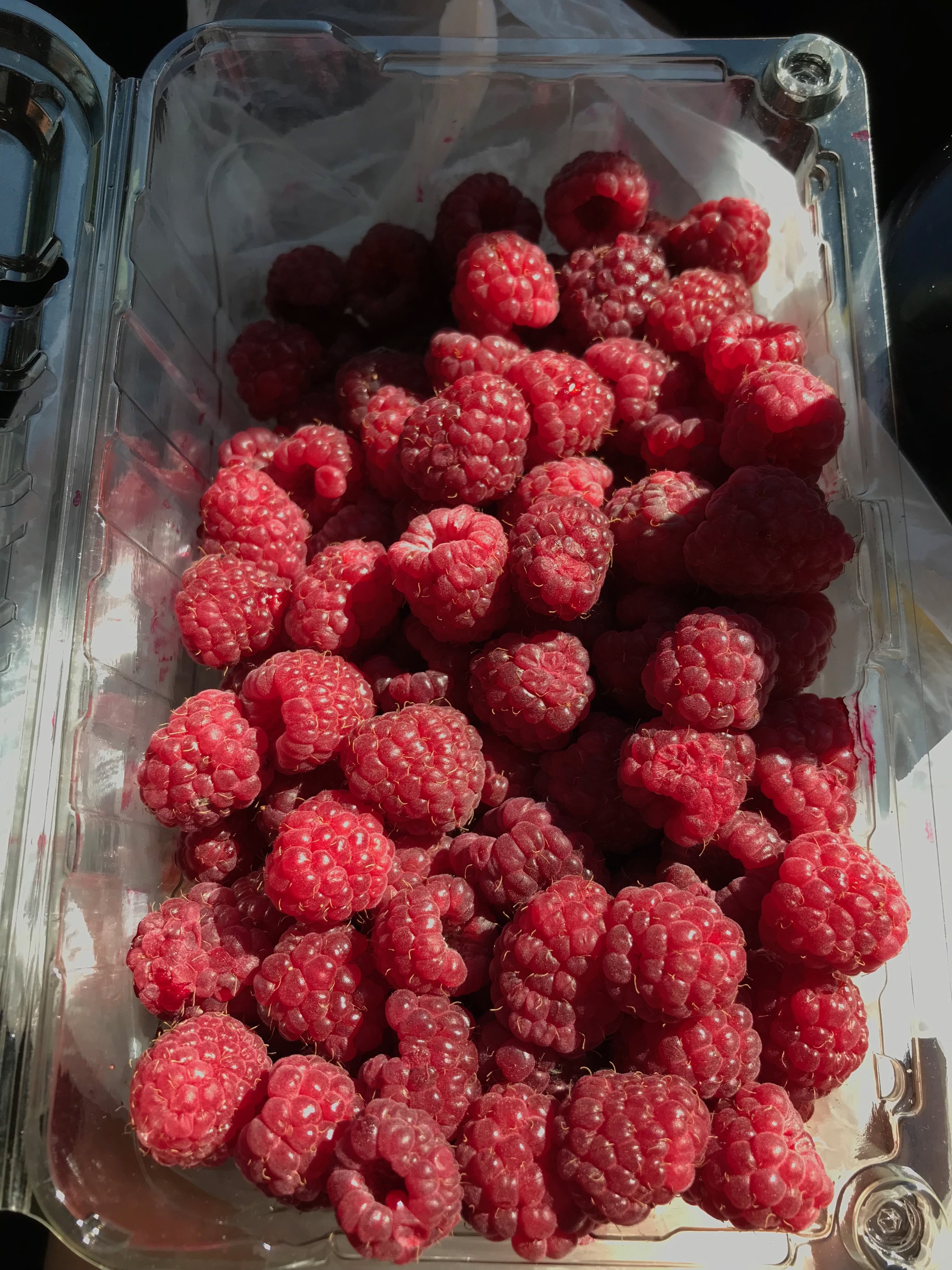 Raspberries in Chile