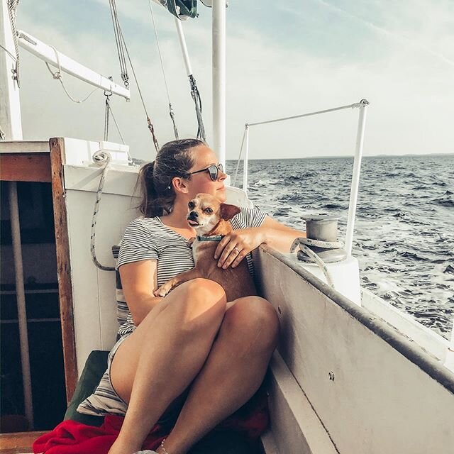 How Luna feels about Mondays
&bull;
&bull;
&bull;
#chihuahuasofinstagram #boatlife #sailboatlife #sailboat #mondaymood #lowcountry #lowcountryliving #lowcountrylife #salty #boatdog #optoutside #saltmarsh #saltyair #adventureseeker #goexplore #beaufor