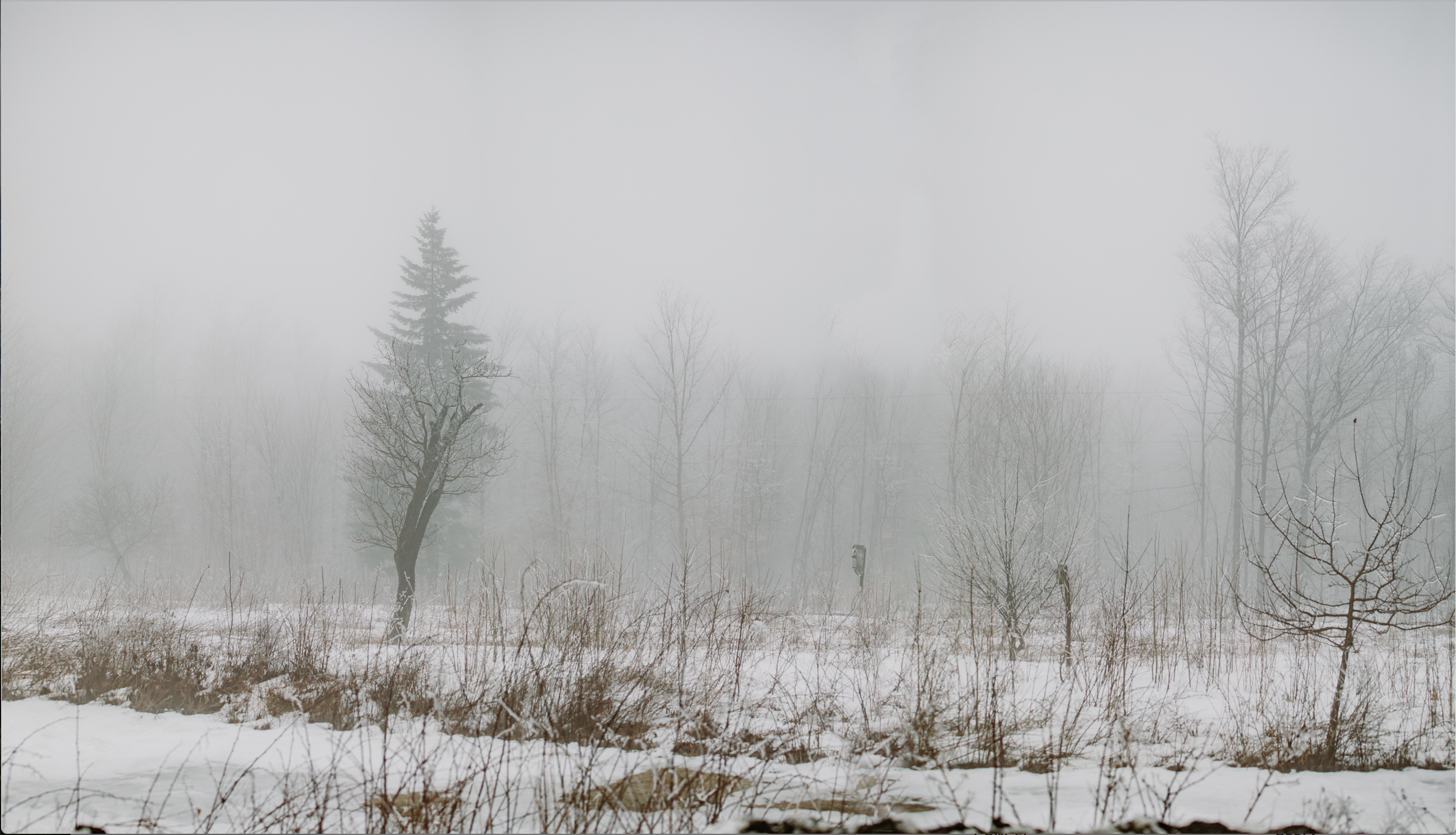 Lorianna_Vermont_Photography_1.png