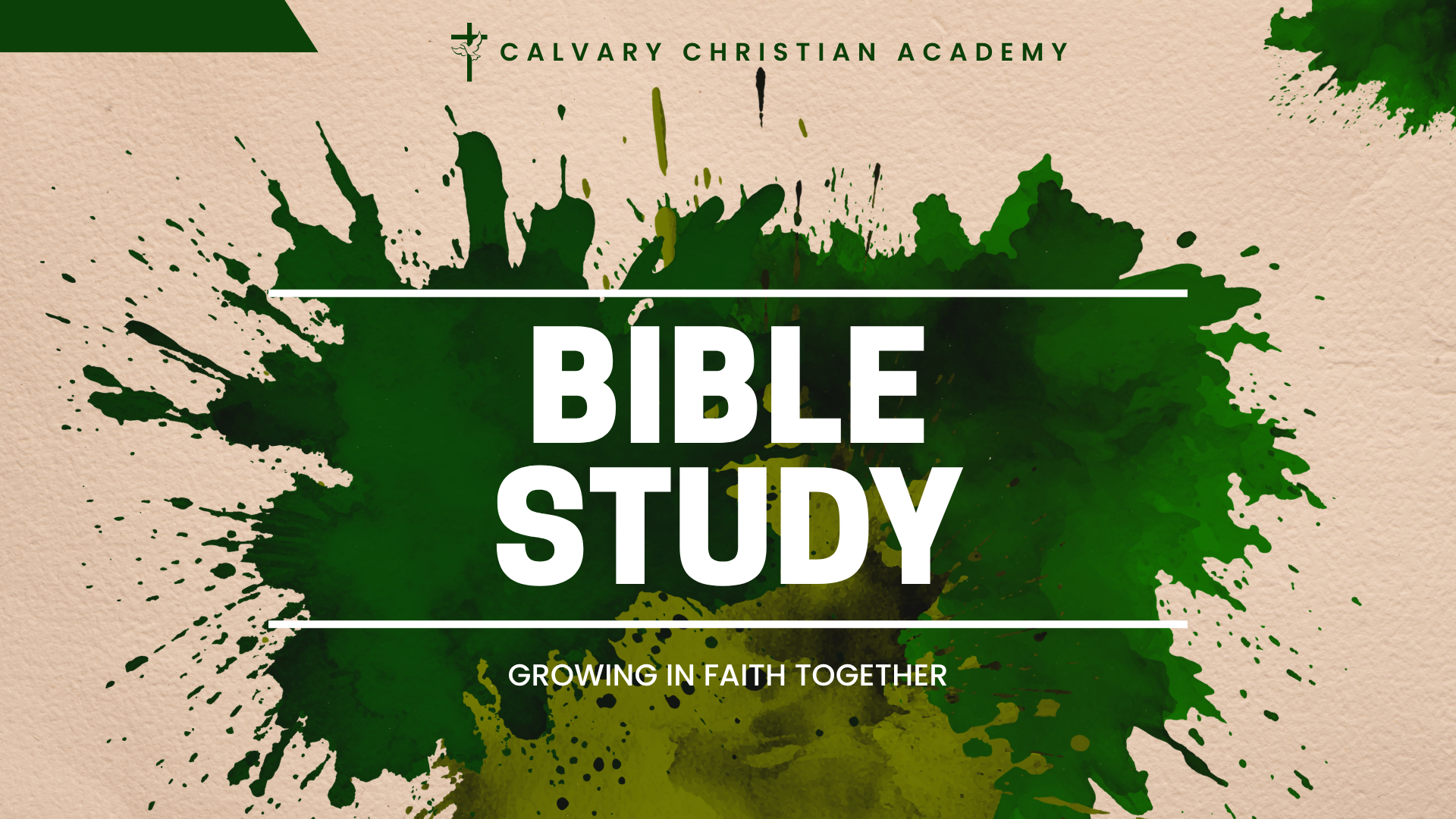 Boy's Bible Study 