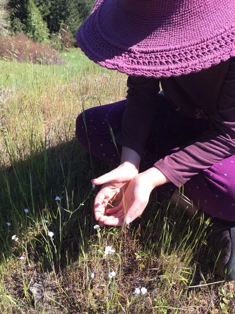 What are We Praying  For?