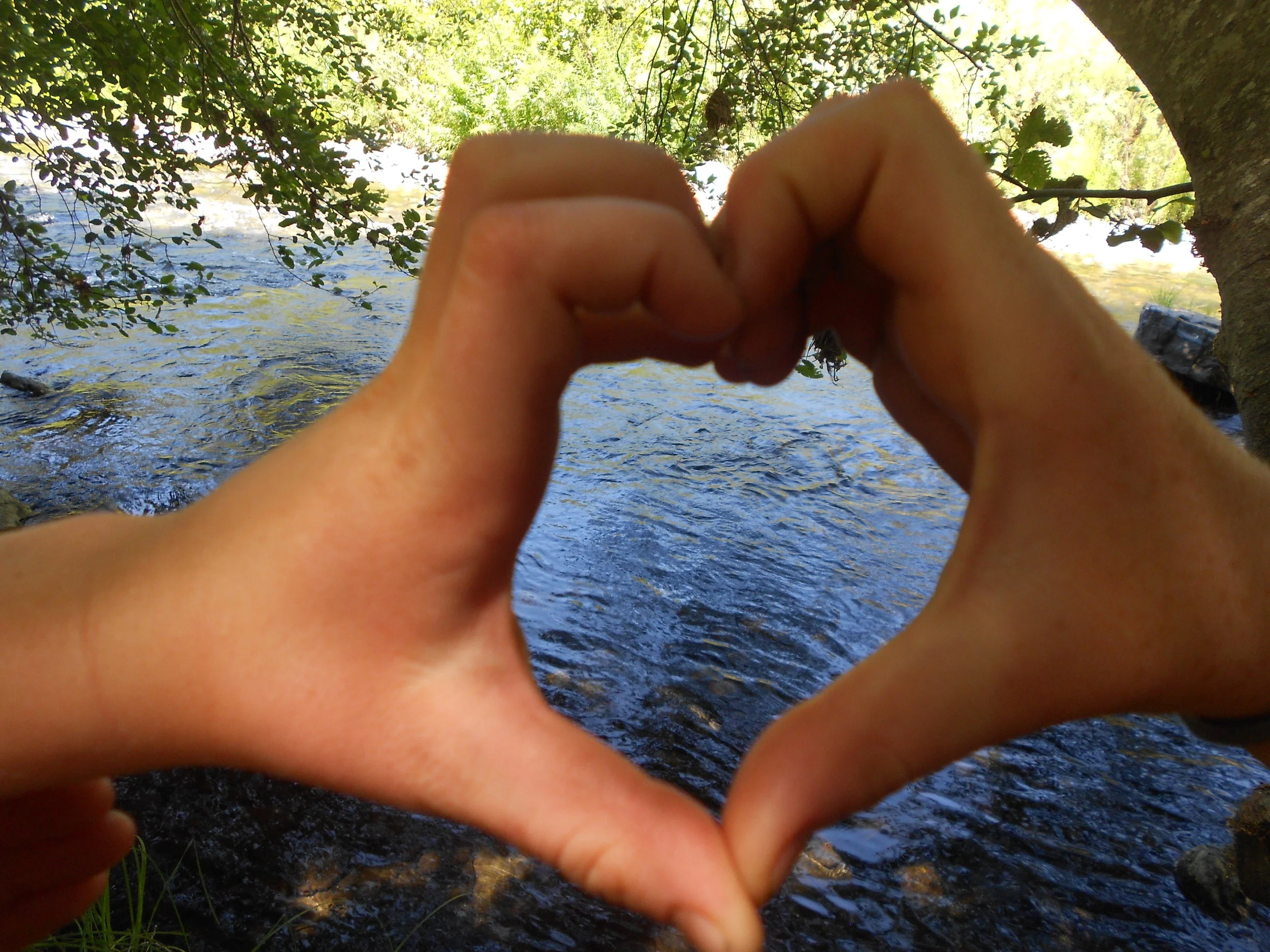 Nature loving Hippie is a sustainable paradigm 