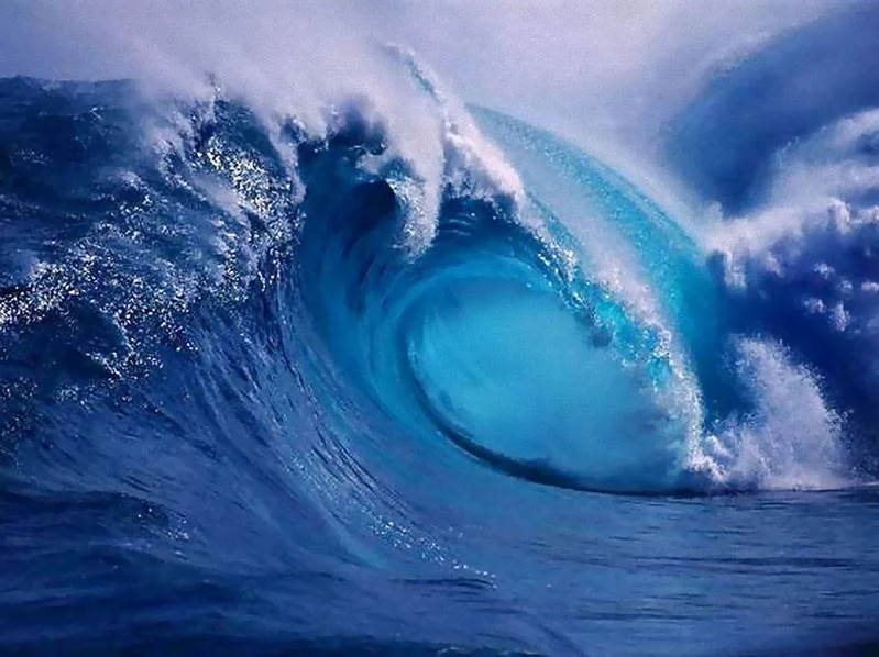 bigwave.jpg