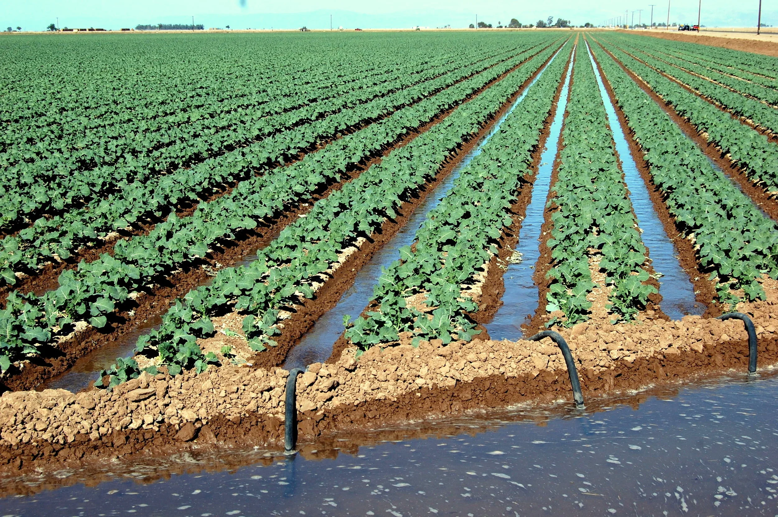 imperial irrigation district.jpg