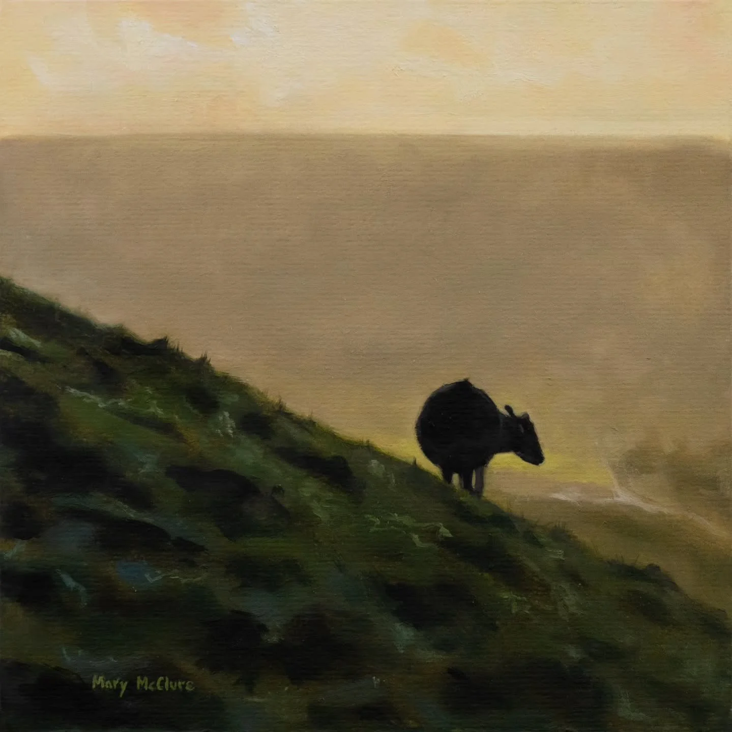 A tiny little one from the most beautiful walk up Mam Tor a few weeks back - gorgeous glowy sunset light to make up for the egregious amounts of mud