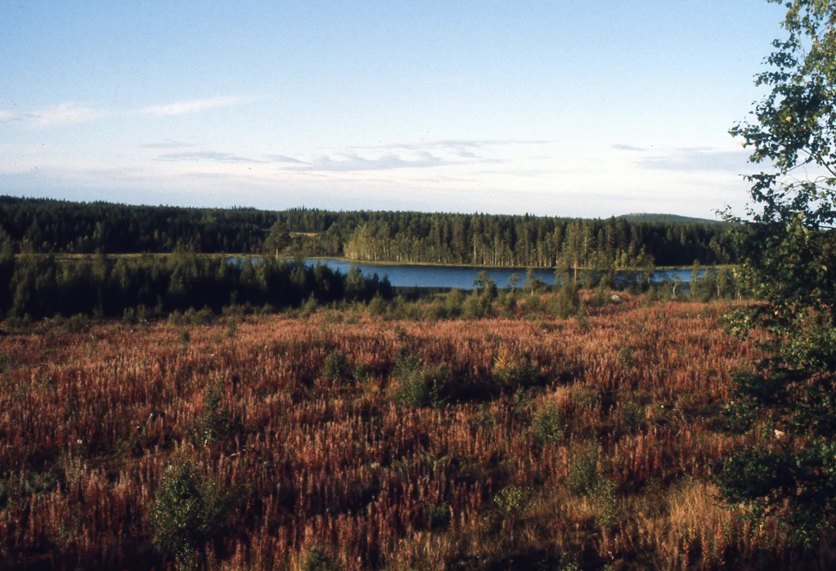 08.jpg