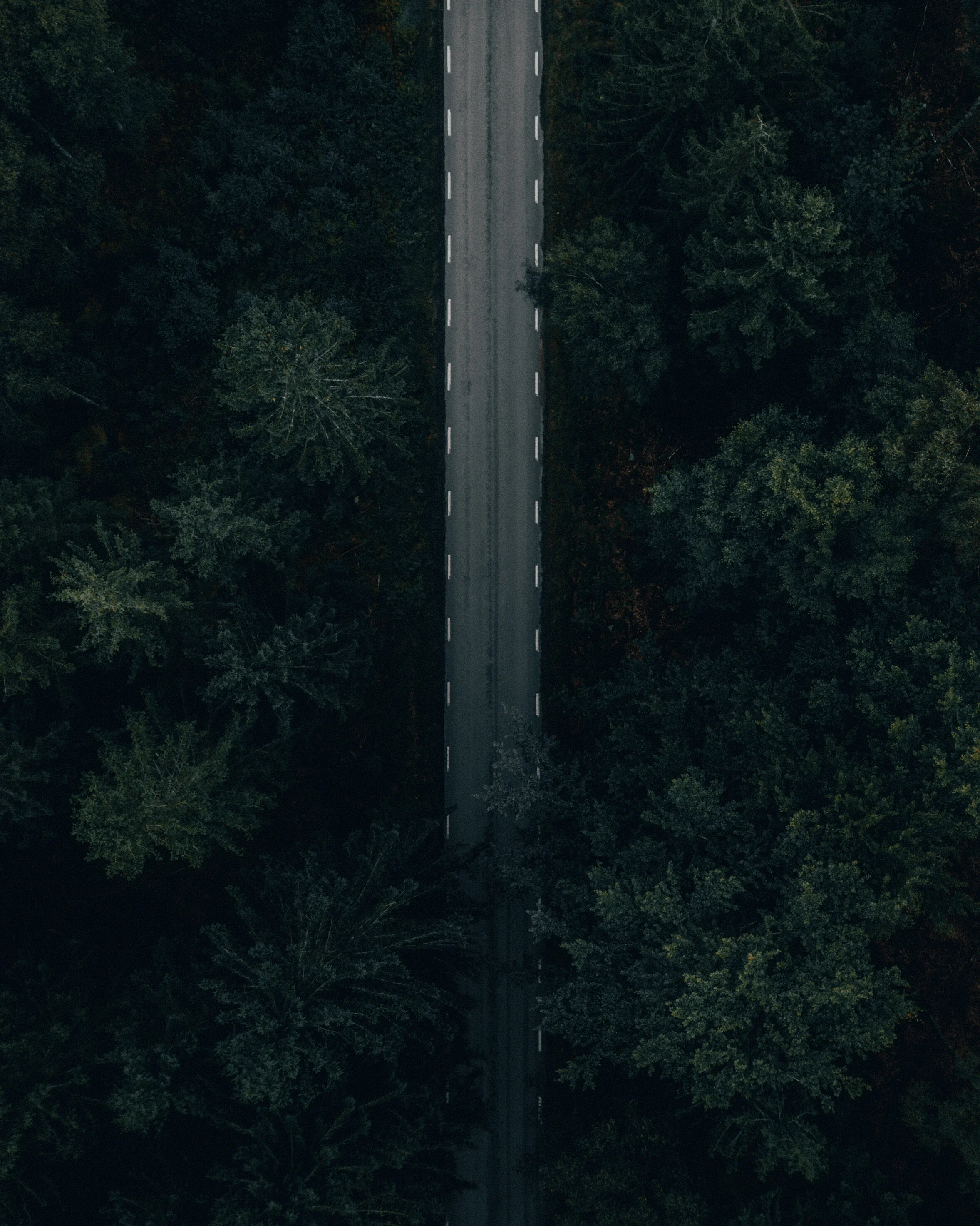lp0F0jkBh7.JPG