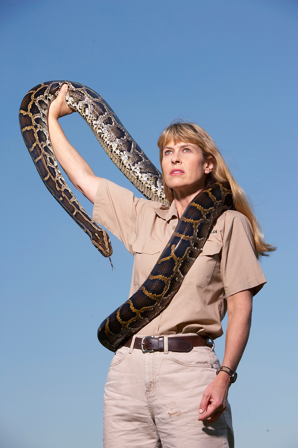 terri irwin