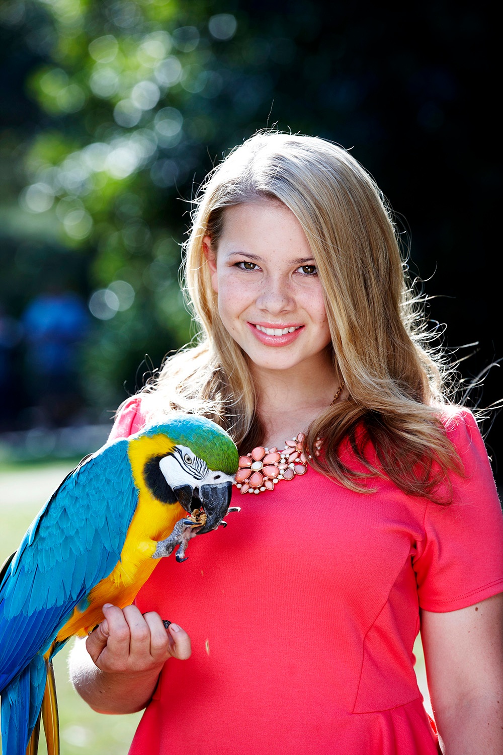 bindi irwin