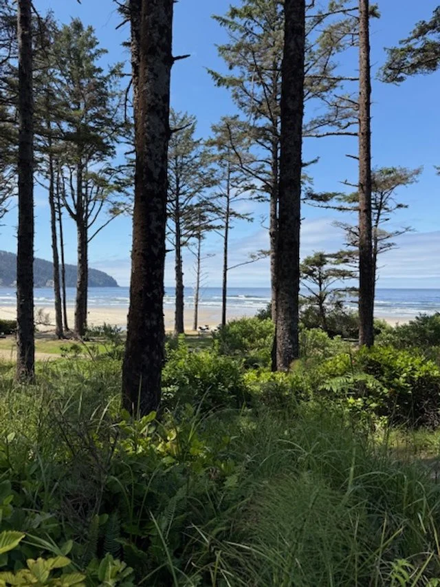Hike 17: Cape Lookout Beach (Tillamook, OR)