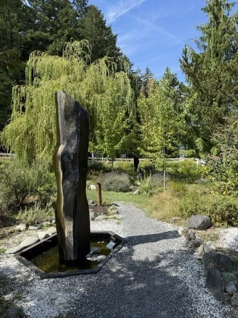 IMG_9874 Medium.jpeg