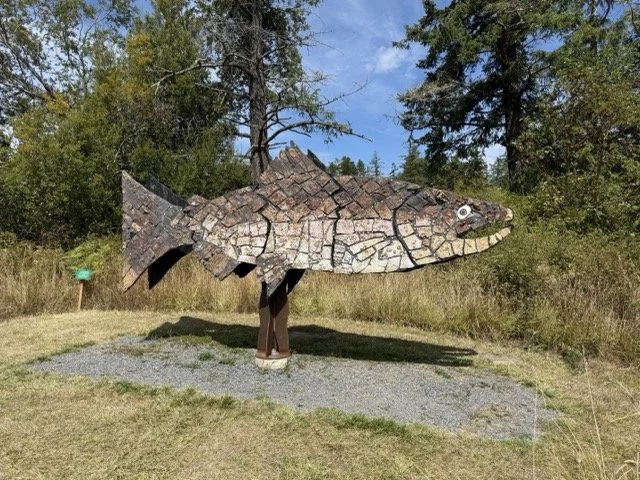 IMG_9880 Medium.jpeg