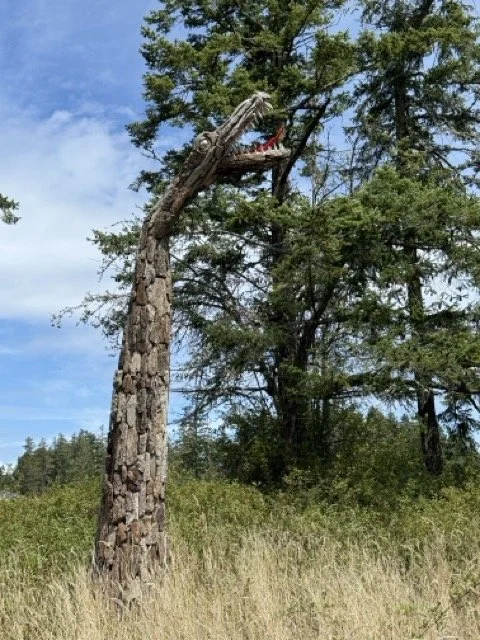 IMG_9887 Medium.jpeg